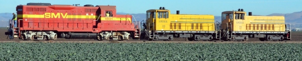 photo of SMVRR locos in field